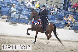 12r14_6817 thumbnail