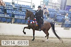 12r14_6818 thumbnail