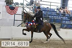 12r14_6819 thumbnail