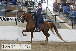 12r14_7045 thumbnail