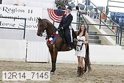 12r14_7145 thumbnail
