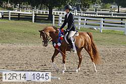 12r14_1845 thumbnail