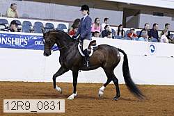 12r9_0831 thumbnail