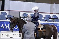 12r9_1419 thumbnail