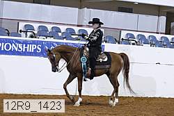12r9_1423 thumbnail