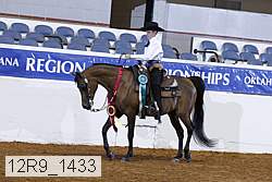 12r9_1433 thumbnail