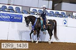 12r9_1436 thumbnail