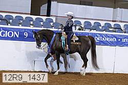 12r9_1437 thumbnail