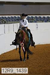 12r9_1439 thumbnail