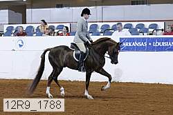 12r9_1788 thumbnail