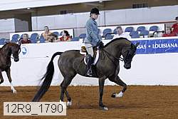 12r9_1790 thumbnail