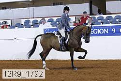 12r9_1792 thumbnail