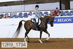 12r9_1794 thumbnail