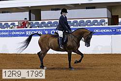 12r9_1795 thumbnail