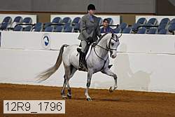 12r9_1796 thumbnail