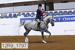 12r9_1797 thumbnail
