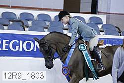 12r9_1803 thumbnail
