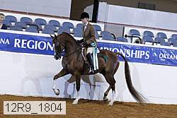 12r9_1804 thumbnail