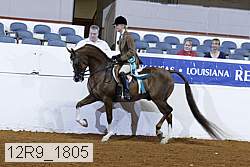 12r9_1805 thumbnail