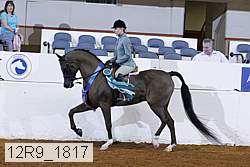12r9_1817 thumbnail