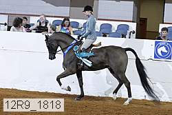 12r9_1818 thumbnail