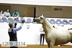 12r9_2314 thumbnail