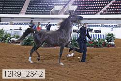 12r9_2342 thumbnail