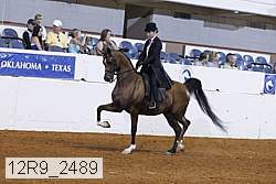 12r9_2489 thumbnail