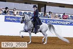 12r9_2508 thumbnail