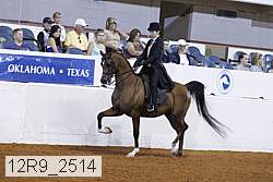 12r9_2514 thumbnail
