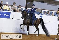 12r9_2519 thumbnail
