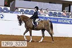 12r9_3220 thumbnail