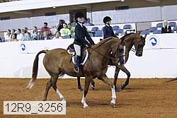 12r9_3256 thumbnail
