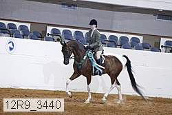 12r9_3440 thumbnail