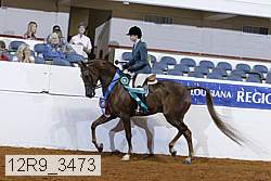 12r9_3473 thumbnail