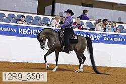 12r9_3501 thumbnail