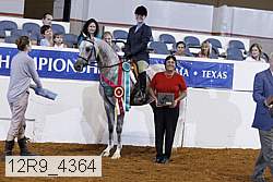 12r9_4364 thumbnail