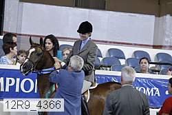 12r9_4366 thumbnail