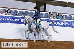12r9_4370 thumbnail