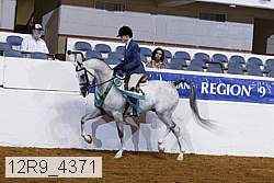 12r9_4371 thumbnail