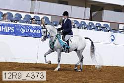 12r9_4373 thumbnail