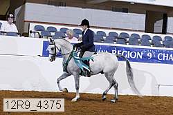 12r9_4375 thumbnail