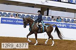 12r9_4377 thumbnail