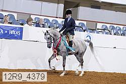 12r9_4379 thumbnail