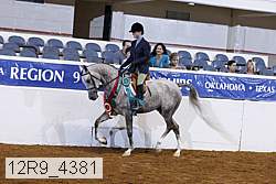 12r9_4381 thumbnail