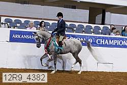 12r9_4382 thumbnail