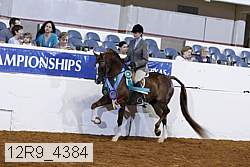 12r9_4384 thumbnail