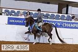 12r9_4385 thumbnail