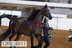 12r9_4611 thumbnail