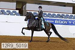 12r9_5019 thumbnail